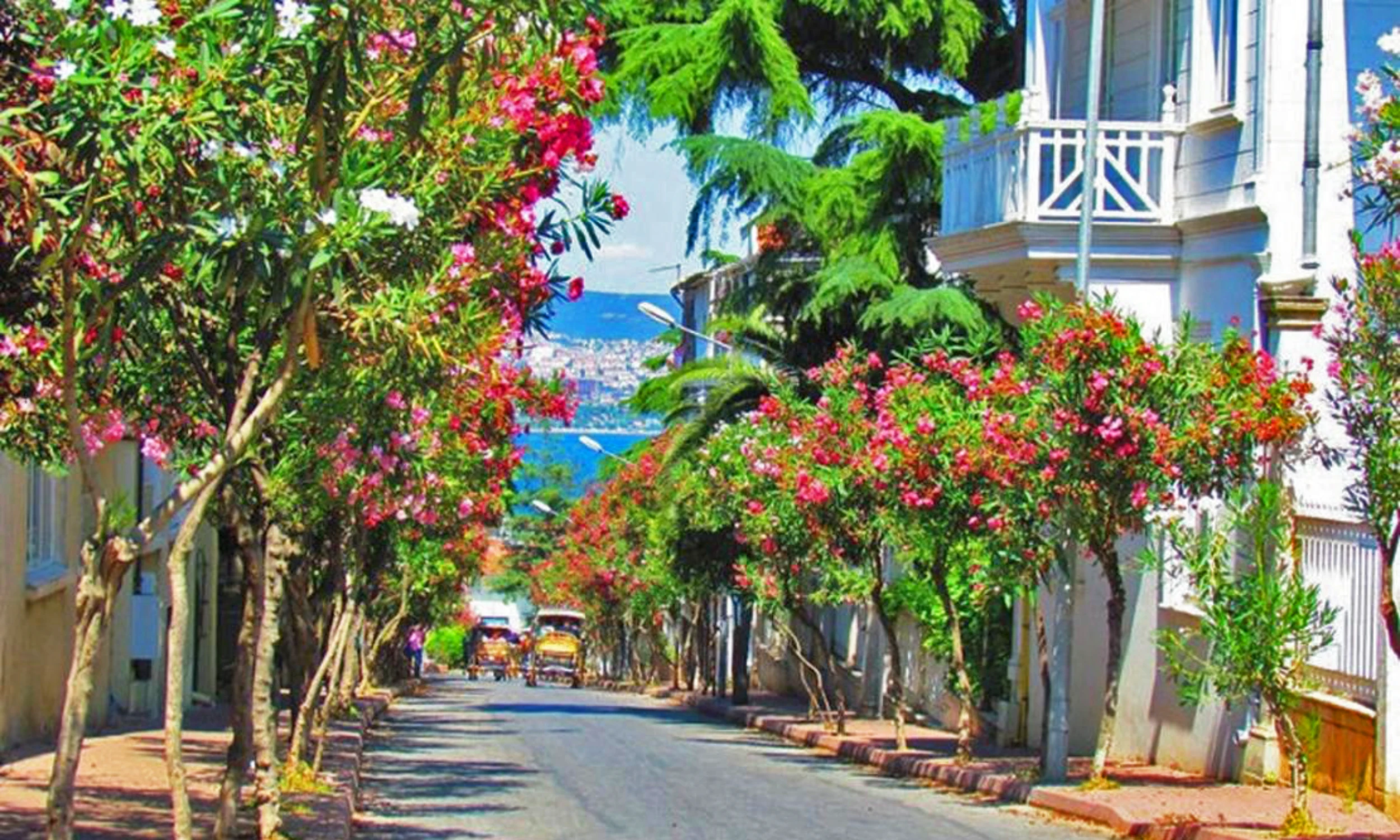 ՍՏԱՄԲՈՒԼ՝ պատմական Կոստանդնուպոլիս․  քաղաք, որտեղ միավորվում են արևելքն ու արևմուտքը